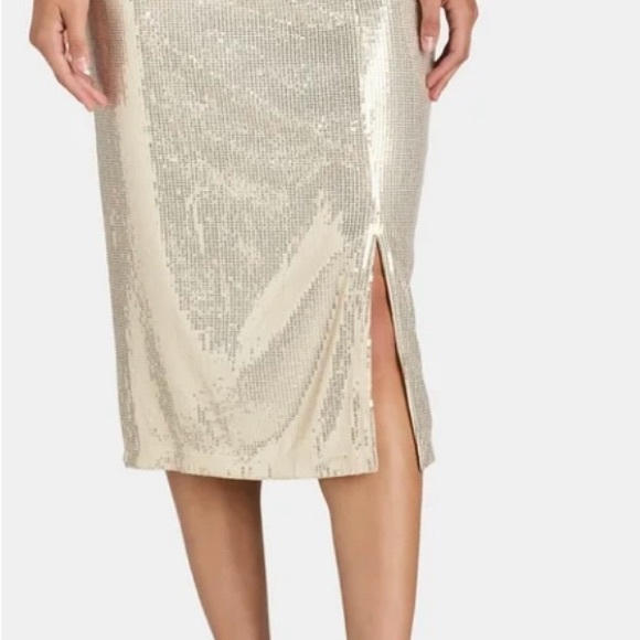 Time and Tru sequin skirt - Picture 4 of 10